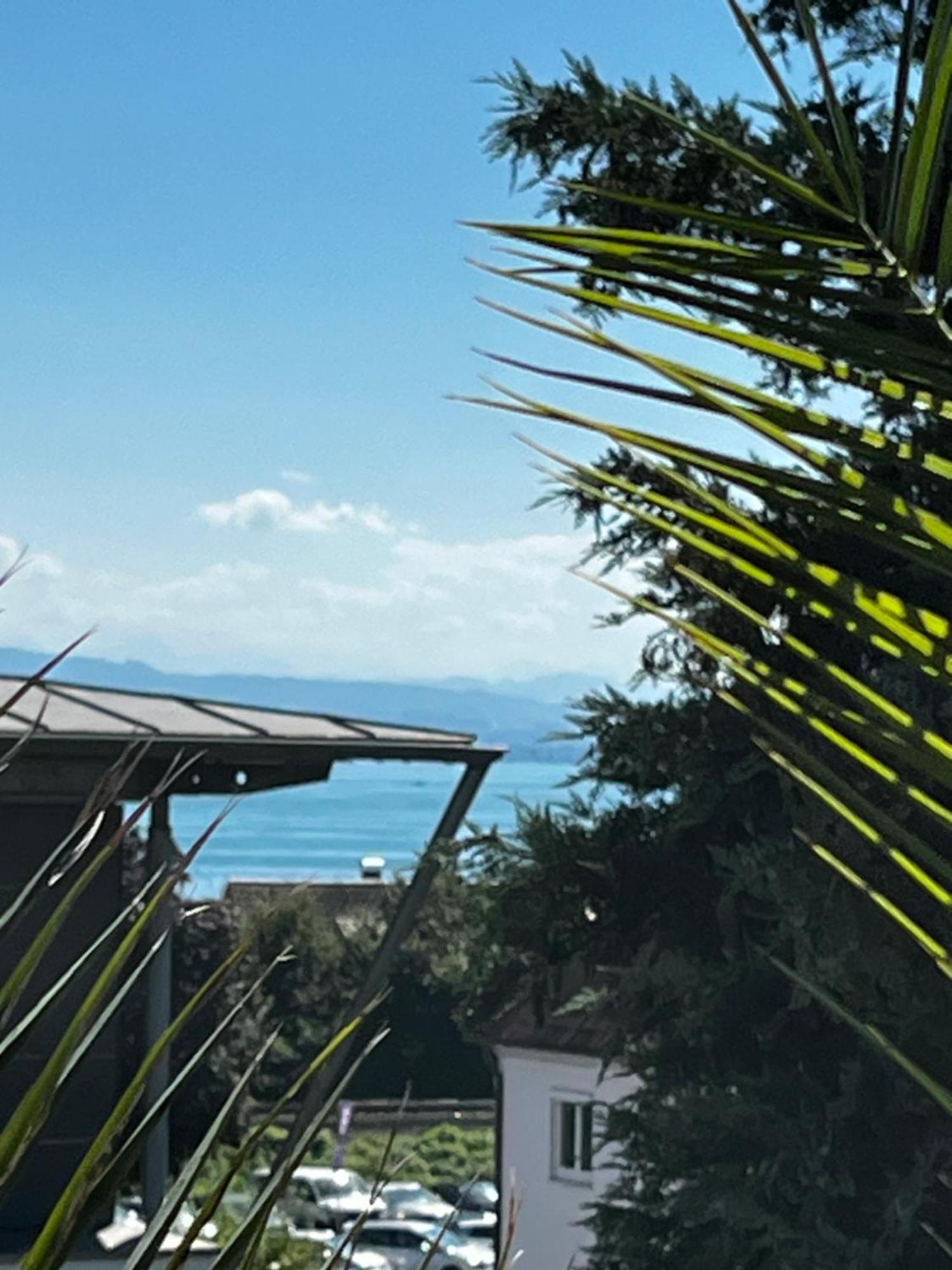 Traumhafte Ferienwohnung Mit See Und Bergsicht Friedrichshafen Ngoại thất bức ảnh